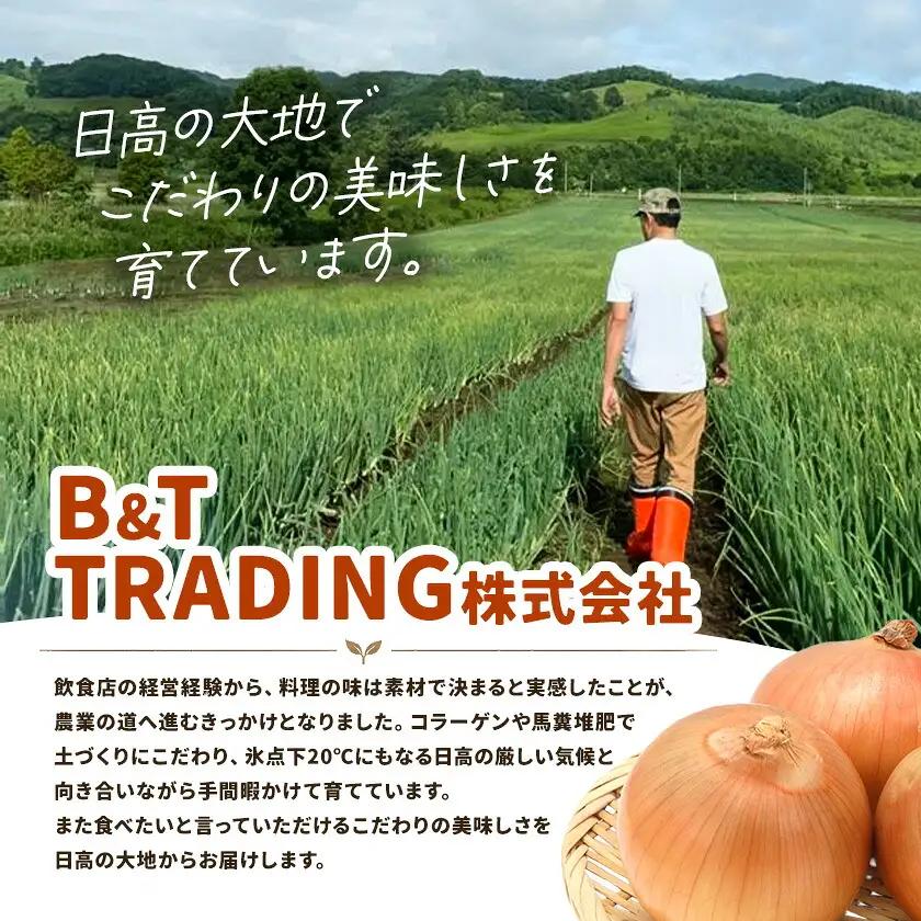 野菜 玉ねぎ・紫玉ねぎ 10kg B&T TRADING株式会社