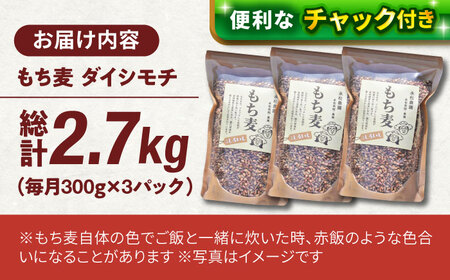 【全3回定期便】白石産 もち麦 900g（300g×3袋）/回（総計2.7kg）【道の駅しろいしカンパニー】[IAA034]