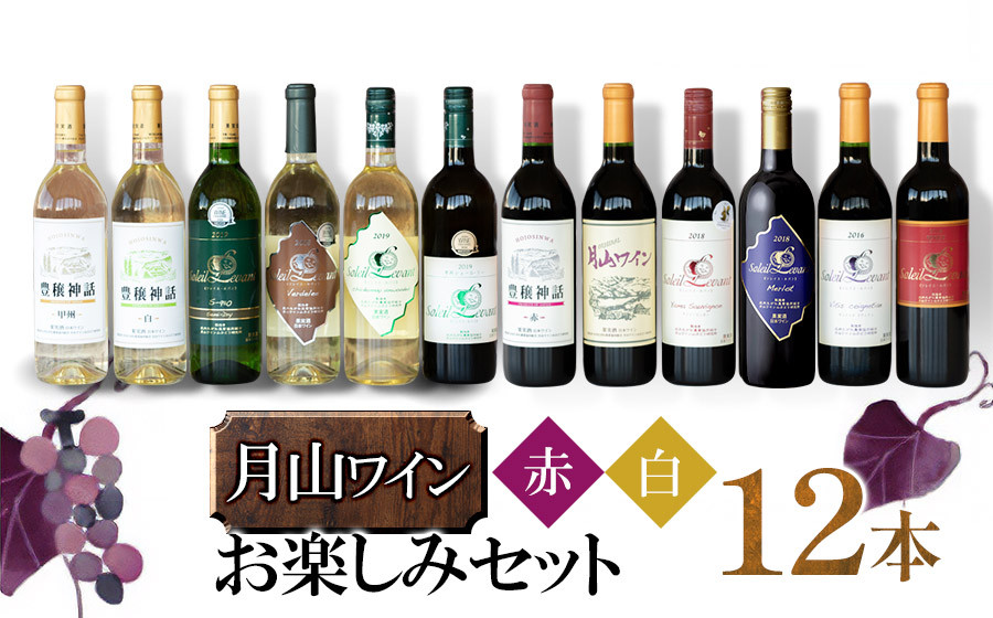 
月山ワイン　赤・白ワイン12本　お楽しみセット　H96-201
