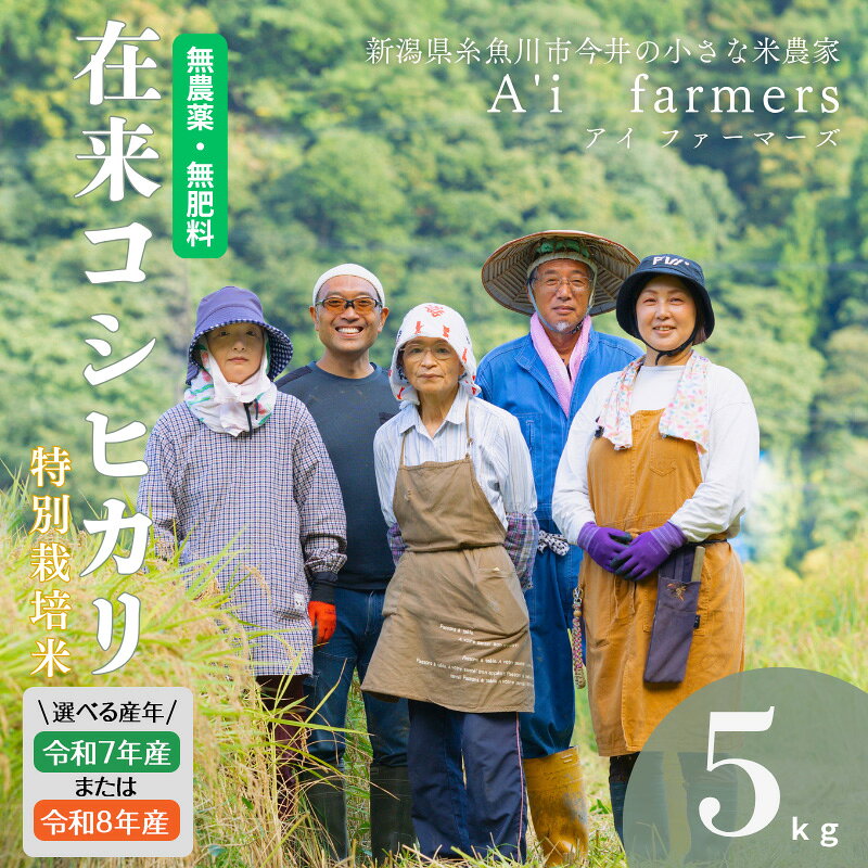 【ふるさと納税】R7年産 / R8年産 選べる 自然栽培米 在来コシヒカリ【令和7年産】【令和8年産】 5kg 新潟県 糸魚川市産 無農薬 無化学肥料米 美味しいお米 新潟米 アイファーマーズ【こしひかり おにぎり お弁当 ご飯 ライス ふるさと納税米 ブランド米 5キロ】