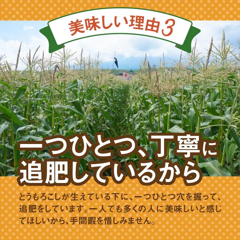 富士北麓忍野村の気候、水、自然で作られた朝採りトウモロコシ（ゴールドラッシュ・ピーターコーン）詰め合わせセット（約5kg）