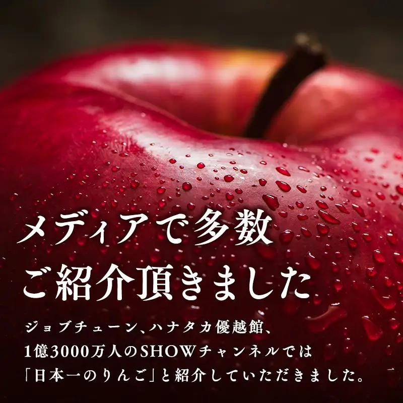 りんご つがる 約3kg 青森県平川市産[hi-0003-030]
