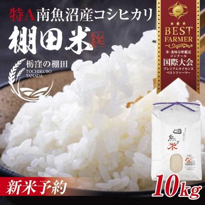 ふるさと納税 南魚沼市 【令和8年産 新米予約】 新潟県南魚沼  コシヒカリ 10kg 精米 日熊の米 棚田