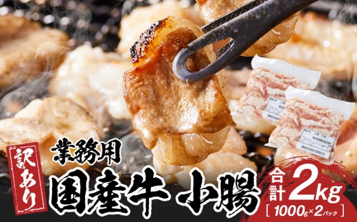 
            《業務用・訳アリ》国産牛　小腸　2kg
          