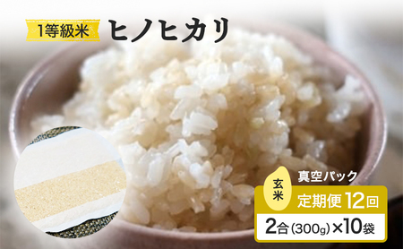 ヒノヒカリ 1等級米 真空パック 玄米 福岡県産 ヒノヒカリ【2合(300g)×10袋】【定期便12回】