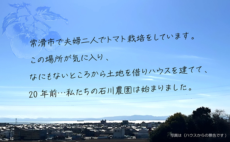 【先行予約】【2025年3月から順次発送】尾州常滑フルーツトマト