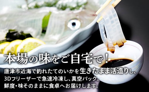 玄界灘で育った美味しい呼子のイカ。
コリコリとした食感、上品な甘みは、食べる人を虜にしますよ♪