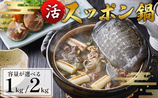 
            【配送月・容量が選べる】綾部で育てた！！スッポン鍋 約1kg / 約2kg 国産 活スッポン 健康 スッポン スッポン鍋 スッポン鍋セット すっぽん 1キロ 2キロ 鍋 滋養強壮 コラーゲン 京都 綾部 京都府 綾部市
          