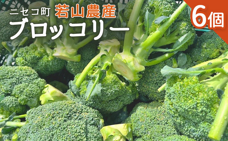 《ニセコ町若山農産》【数量限定】ブロッコリー　6個セット