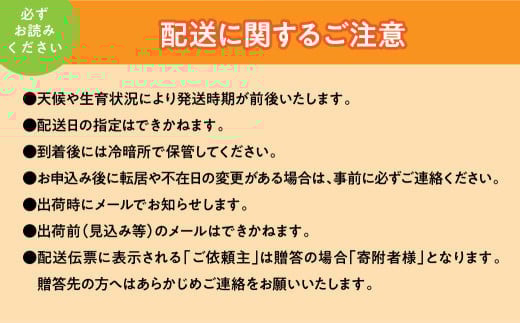 ＜2026年発送先行予約＞★TBSテレビ系列「ひるおび」で取り上げられました！★シャインマスカット 2房 約1kg (1房あたり約450g〜550g×2房） ALPAA055| 山梨 山梨県 ぶどう 