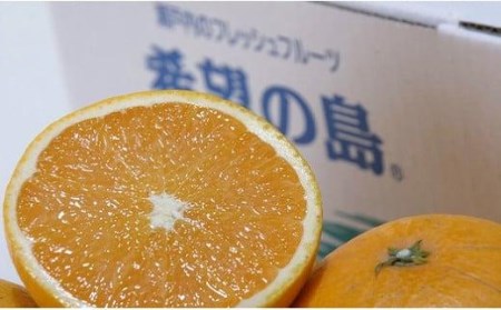 【4月上旬から発送】 希望の島 サマー清見 4kg 愛媛 中島産 ( サマー清見 みかん  みかん 柑橘 中島 みかん サマー清見 みかん  みかん 愛媛県産 みかん サマー清見 みかん  みかん )
