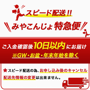 【元気モリモリ福袋】気分リフレッシュ!都城産特上煎茶(新茶)4本セット≪みやこんじょ特急便≫_AA-4802-Q_(都城市) お茶の産地 都城盆地 都城産新茶 最高級品 ホットでも冷茶でも 日本茶