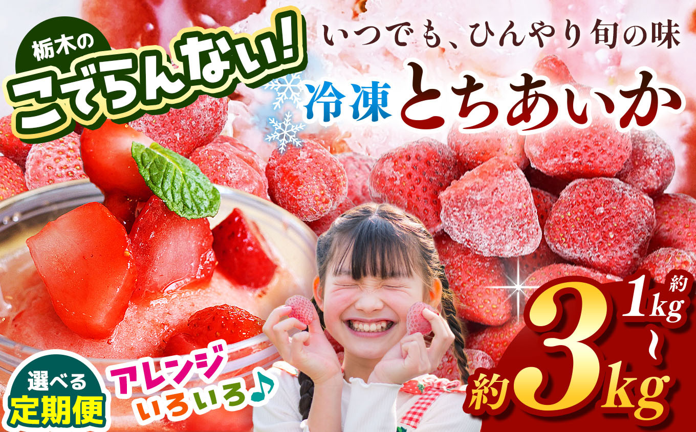 
            栃木のこでらんない冷凍イチゴ（とちあいか） 選べる 容量 定期便 1回 3回 約1kg 2kg 3kg｜いちご イチゴ 果物 フルーツ 苺 甘い 美味しい とちあいか 大粒 ジューシー 映え 産地直送 栃木県 真岡市 朝摘み 酸味が少ない 冷凍いちご 日本一
          