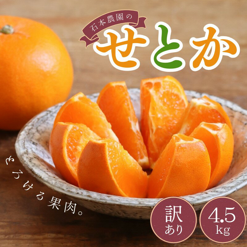 【ふるさと納税】 訳あり せとか 石本農園の せとか 4.5kg M-4L サイズおまかせ 【2026年2月中旬から下旬までに順次発送】 みかん ミカン 蜜柑 柑橘 果物 くだもの フルーツ サイズ 不揃い 家庭用 ご家庭用 予約 人気 ジューシー 甘い 産地直送 送料無料