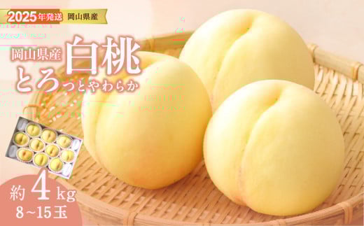 MM-29　白桃 岡山 秀品 大玉 約4kg 8-15玉 岡山県産 桃 もも  御中元 ギフト 御礼 プレゼント 御礼 御祝 御供 果物 くだもの フルーツ
