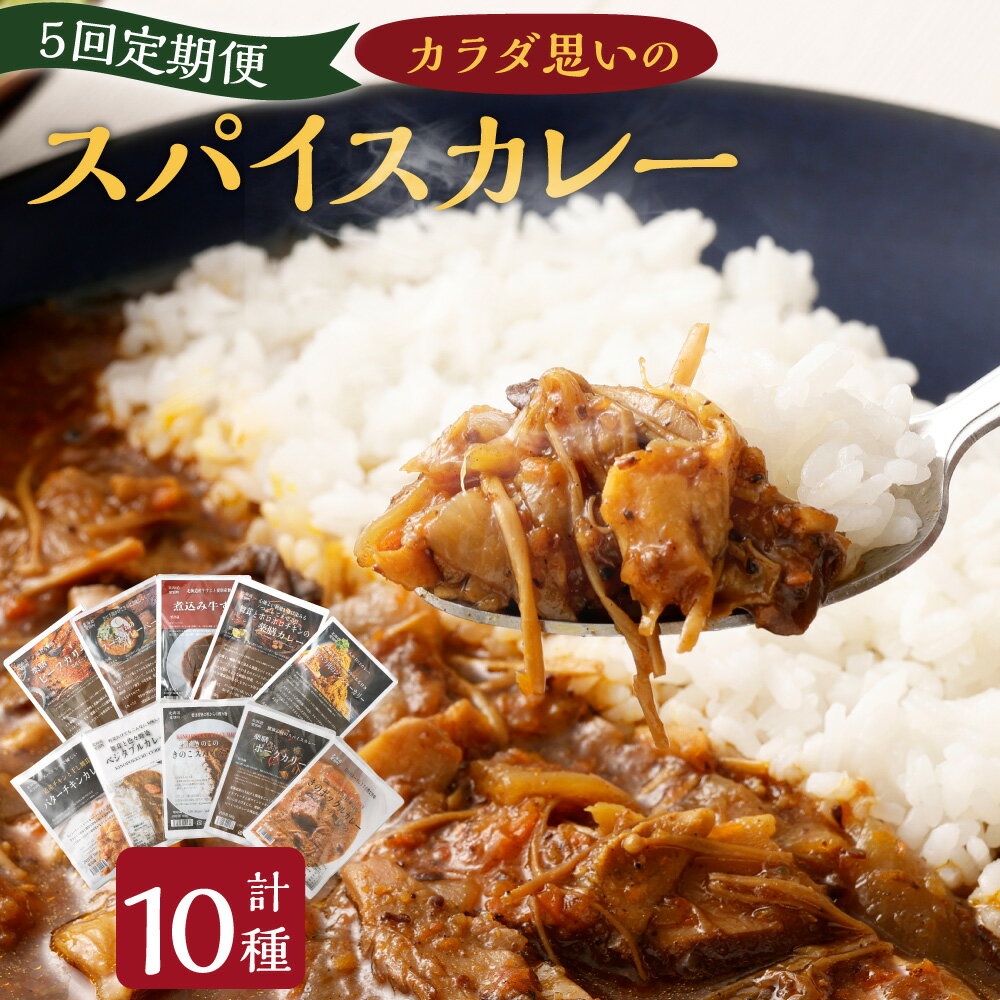 【ふるさと納税】【5回定期便】カラダ想いのスパイスカレー 10種類 1回あたり2種セット（計4個（各2個）） 1ヶ月毎 中辛 辛口 大人の甘口 きのこ 牛すじ ベジタブル チキン 薬膳 ポーク ビーフ 牛肉 豚肉 鶏肉 お肉 カレー 惣菜 ご飯のお供 冷蔵 北海道 愛別町 送料無料