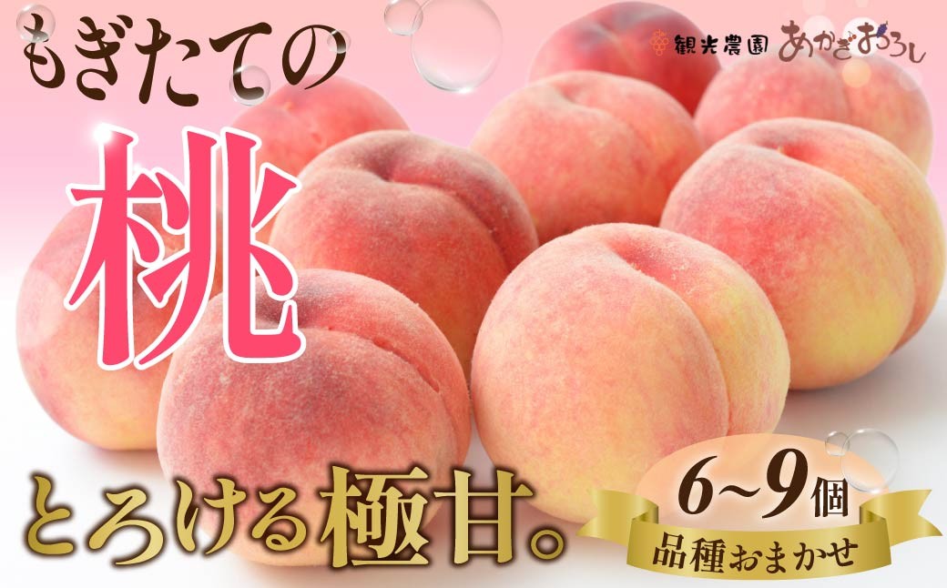 
                  【まもなく終了】 桃 樹上完熟 もぎたての桃 2kg 6~9個入り 先行予約 数量限定 | 大人気 高評価 期間限定 桃 フルーツ 果物 産地直送 限定品 贈り物 新鮮 お取り寄せ デザート ギフト 風味豊か 香り 甘い 限定 果樹 フルーツ 旬 ジューシー みずみずしい 季節のフルーツ 前橋市 群馬県
                
