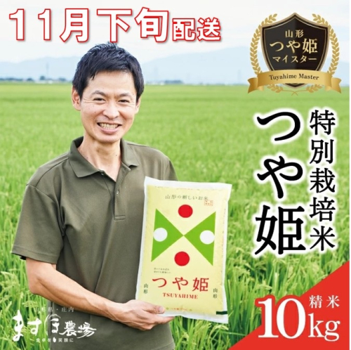SE0407　11月下旬配送／令和7年産【精米】つや姫マイスターが作った 特別栽培米『つや姫』10kg(5kg×2袋)［減農薬・減化学肥料］ MA