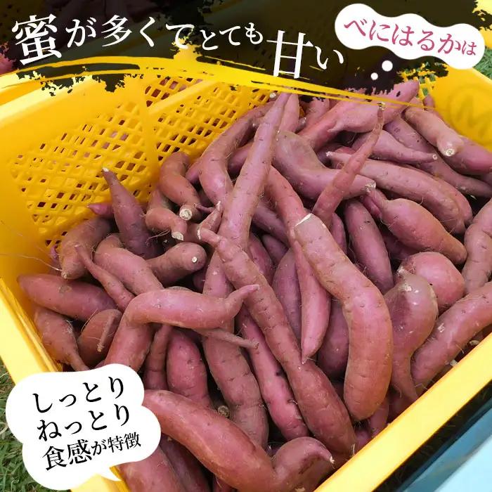 【箱入り】坂東市産　生さつまいも　紅はるか5kg（泥付きS、M、L混載） No.518