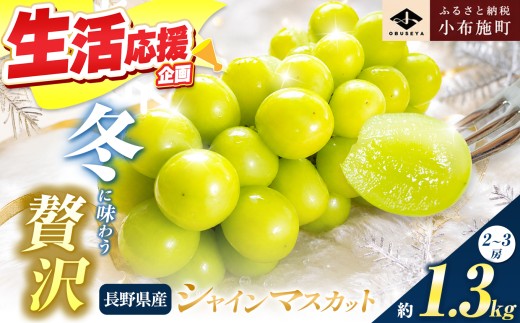 蔵出し冬のシャインマスカット 約1.3kg 2～3房 ［小布施屋 ］長野県 ぶどう フルーツ 果物 冷蔵便 クール便 令和8年産【2026年11月中旬～2027年2月発送】［B-503］