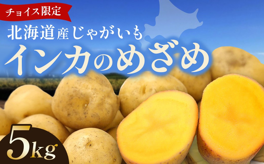 
                  北海道 インカのめざめ 5㎏ 6か月以上熟成 じゃがいも ジャガイモ いも ポテト 池田町【R９年３月以降発送】
                