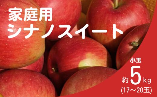 KR39 りんご シナノスイート 家庭用小玉 約5kg（17～20玉） 長野県松川町産／10月中旬頃～配送予定//長野県 南信州 松川町産 リンゴ 林檎 自家用 訳あり 農家直送 農家支援 産地直送