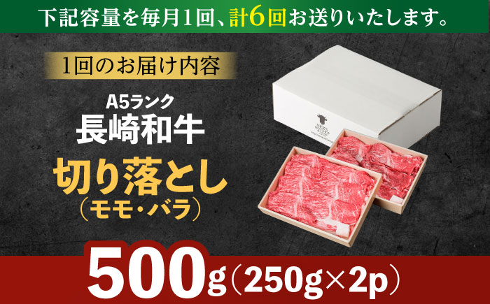 【6回定期便】【訳あり】切り落とし 赤身 モモ バラ 600g / 長崎和牛 A4～A5ランク ワケあり 小間切れ / 諫早市 / 野中精肉店 [AHCW013]