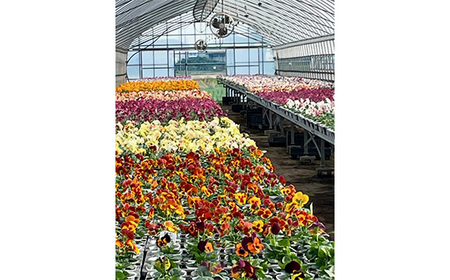 No.147 【季節の寄植えリース】ウォームセレクト＊花工房すなが＊