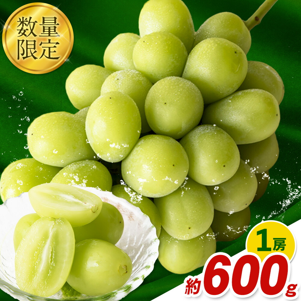 秀品 シャインマスカット 岡山 秋旬 数量限定 大粒 約600g1房 産地直送 葡萄 果物 秀品 スイーツ フルーツ デザート 岡山県 笠岡市 簡易包装 《9月中旬～11月上旬頃に出荷予定(土日祝除く)》---kasaoka_zsy_34_06---