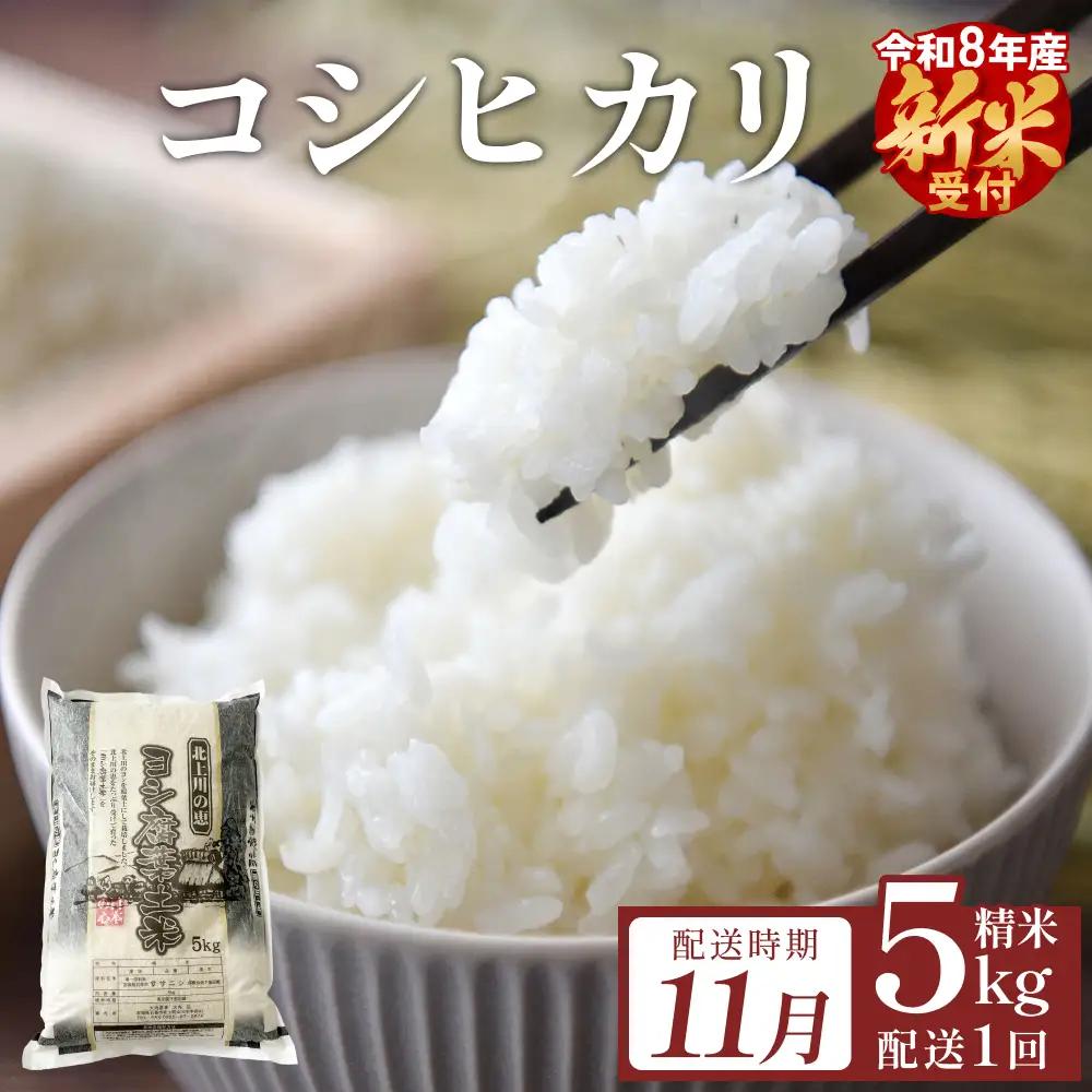 【11月配送】 ＜先行予約＞ 米 令和8年産 コシヒカリ 精米 5kg 単品 新米 こめ コメ お米 ご飯 白米 こしひかり