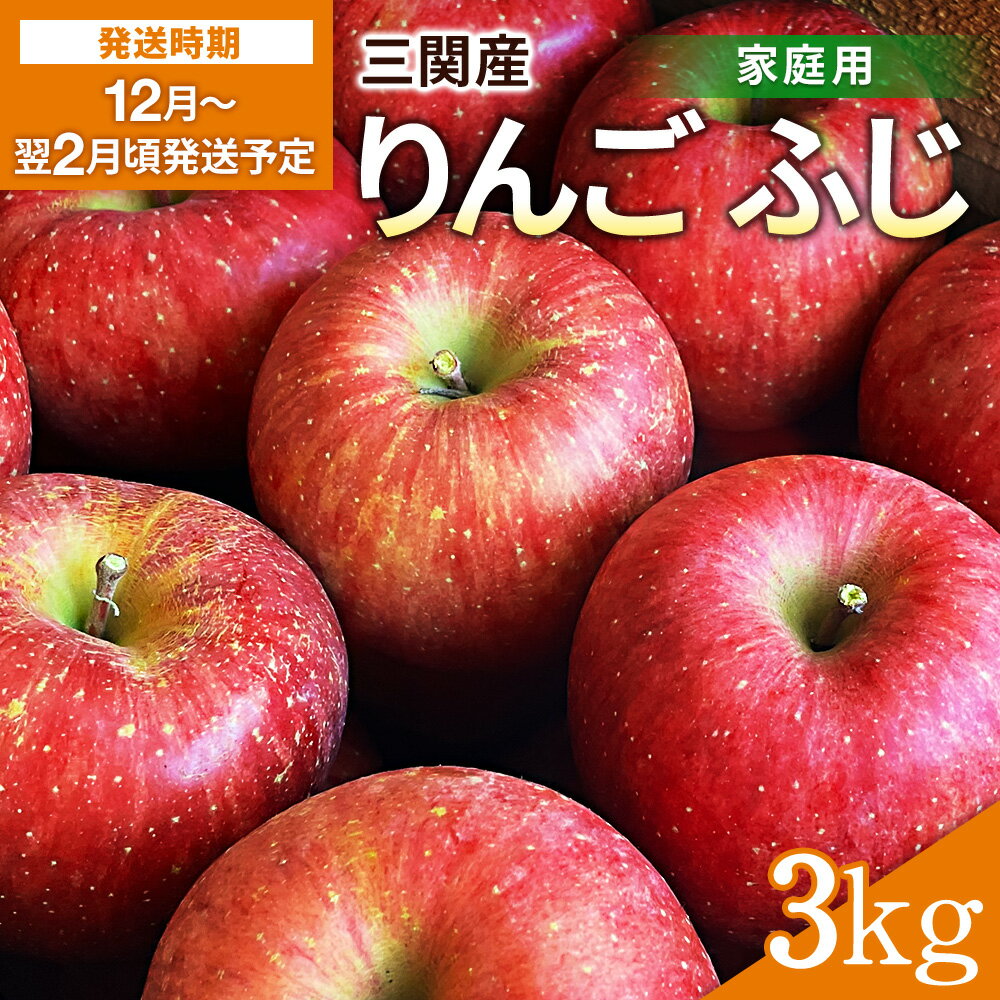 【ふるさと納税】三関産 りんご ふじ 家庭用 3kg 秋田県 湯沢市 地場産 果物 フルーツ 林檎【三関果樹研究会】[J15102]