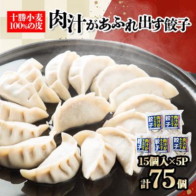 ふるさと納税 帯広市 十勝餃子手房にしかわの肉汁があふれ出す餃子セット　15個入×5パック