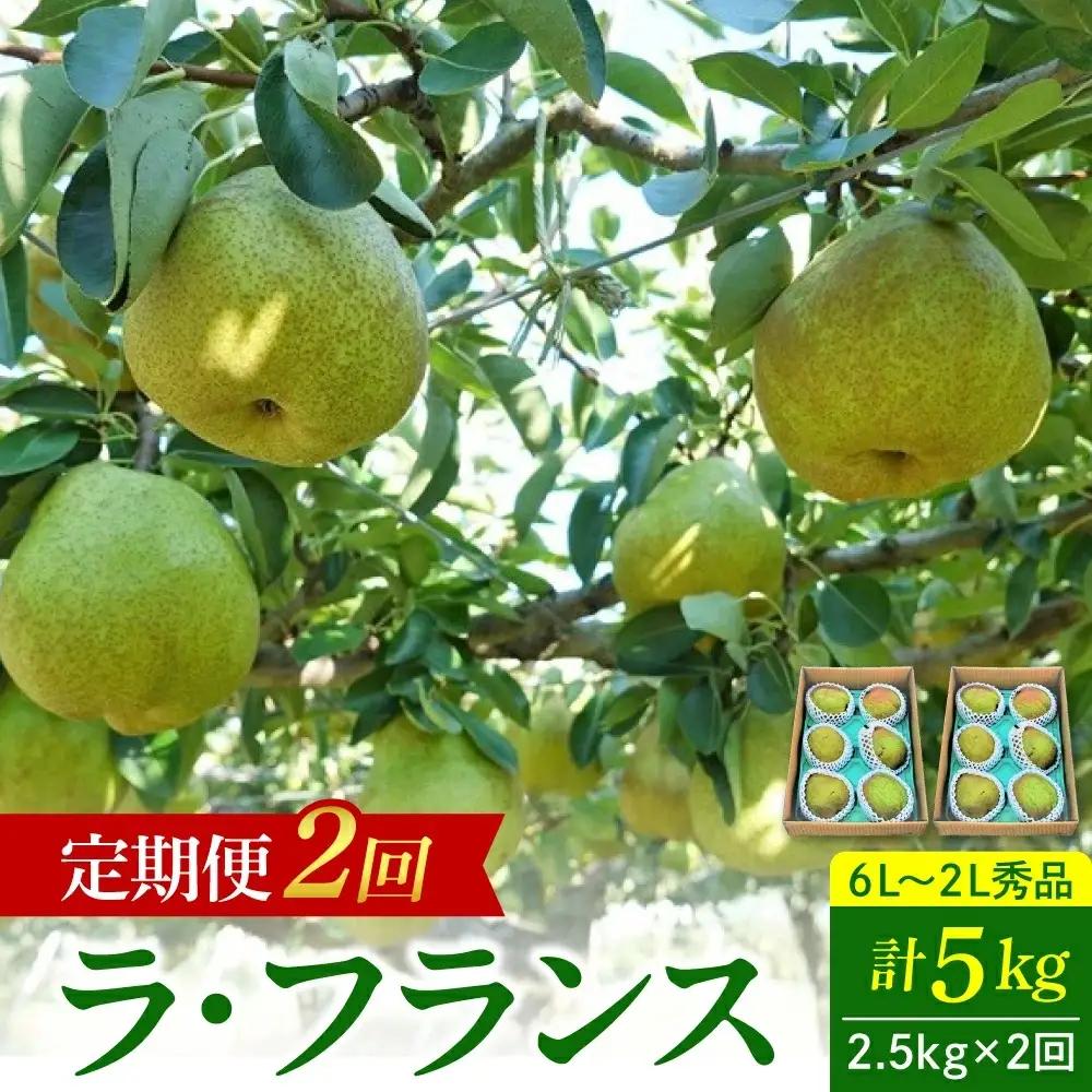 【定期便：全２回】ラ・フランス　２.５ｋｇを２回お届け　0012-2606