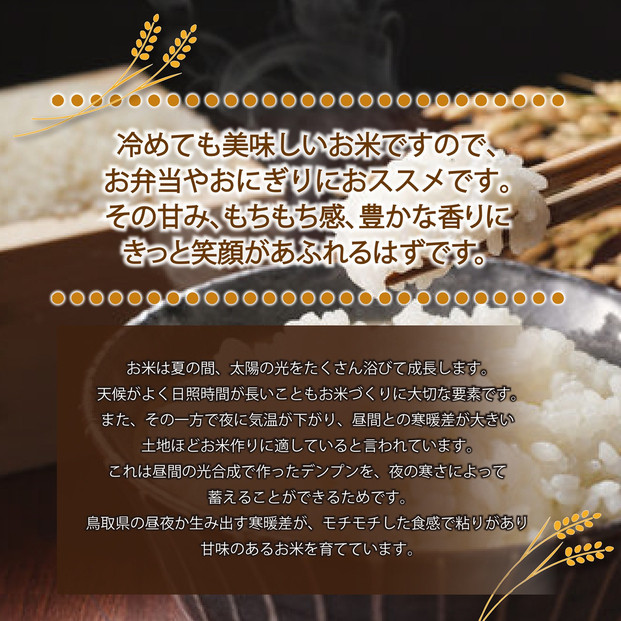 1108.令和7年産　こしひかり玄米　5kg