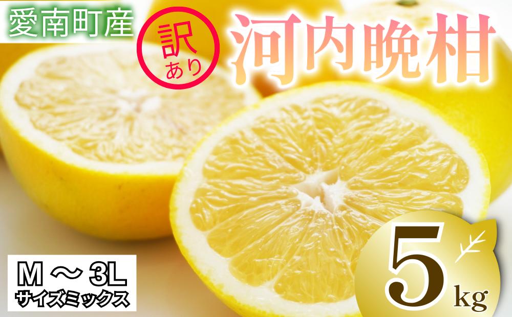 
            【 2026年 先行予約 】 訳あり 河内晩柑 5kg サイズミックス お試し 家庭用 樹齢 20年 以上 古木 和製 グレープフルーツ 愛南ゴールド 直送 フルーツ 人気 柑橘 爽やか 甘み ジューシー 果汁 旬の果物 くだもの みかん サイズ不揃い 産地直送 農園直送 春 味覚 初夏 デザート ジュース おすすめ 生搾り デザート ゼリー 愛媛県 愛南町 清家ばんかんビレッジ
          