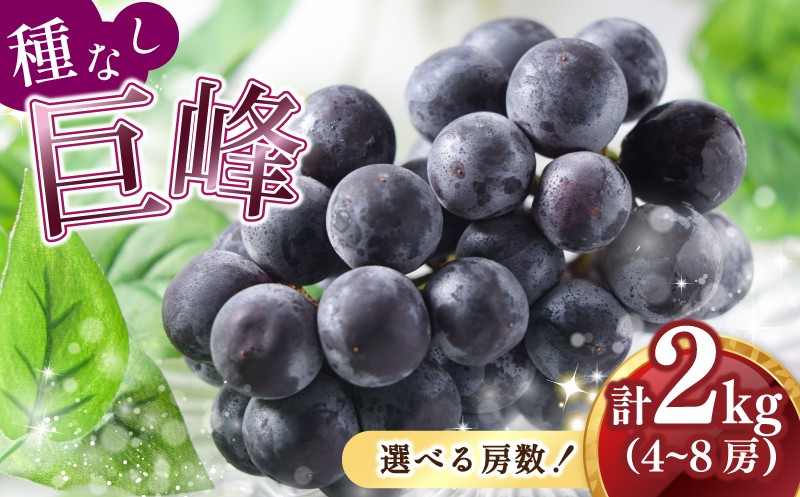 
             【2025年8月中旬発送】 種なし巨峰 ２kg 冷蔵 ぶどう 巨峰 フルーツ 福岡県川崎町 太田農園 先行予約  数量限定
          