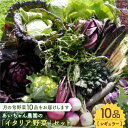 【ふるさと納税】【10品】農薬に頼らない！カラダにやさしい「イタリア野菜」セット（レギュラー）【吉野ヶ里あいちゃん農園】[FAA017]