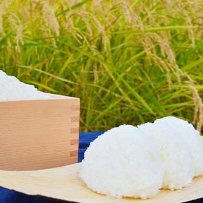 ふるさと納税 白馬村 【令和7年産】『白馬そだち』長野県白馬村産　お米　ゆうだい21　10kg(精米) |  | 01