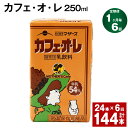 【ふるさと納税】【定期便】【1ヶ月毎6回】カフェ・オ・レ 250ml 24本 計144本（24本×6回） カフェオレ 牛乳 コーヒー 珈琲 乳飲料 らくのうマザーズ ジュース ドリンク 熊本県産 国産 九州 熊本県 菊池市 送料無料