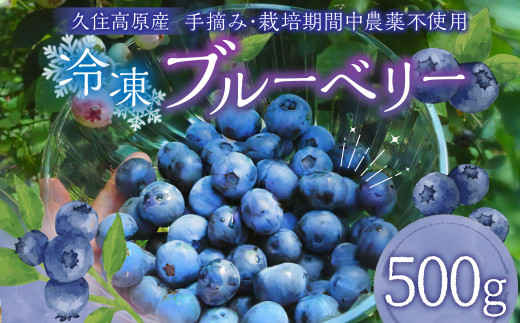 【12回 定期便】久住高原 冷凍 ブルーベリー 500g 計6kg 栽培期間中農薬不使用 手摘み