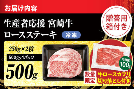 【最短2週間以内で発送】生産者応援 数量限定 宮崎牛 ロース ステーキ 2枚(計500g) 牛肉 ビーフ 黒毛和牛 ミヤチク 国産 ブランド牛 食品 おかず ディナー 人気 おすすめ 鉄板焼き 高級 