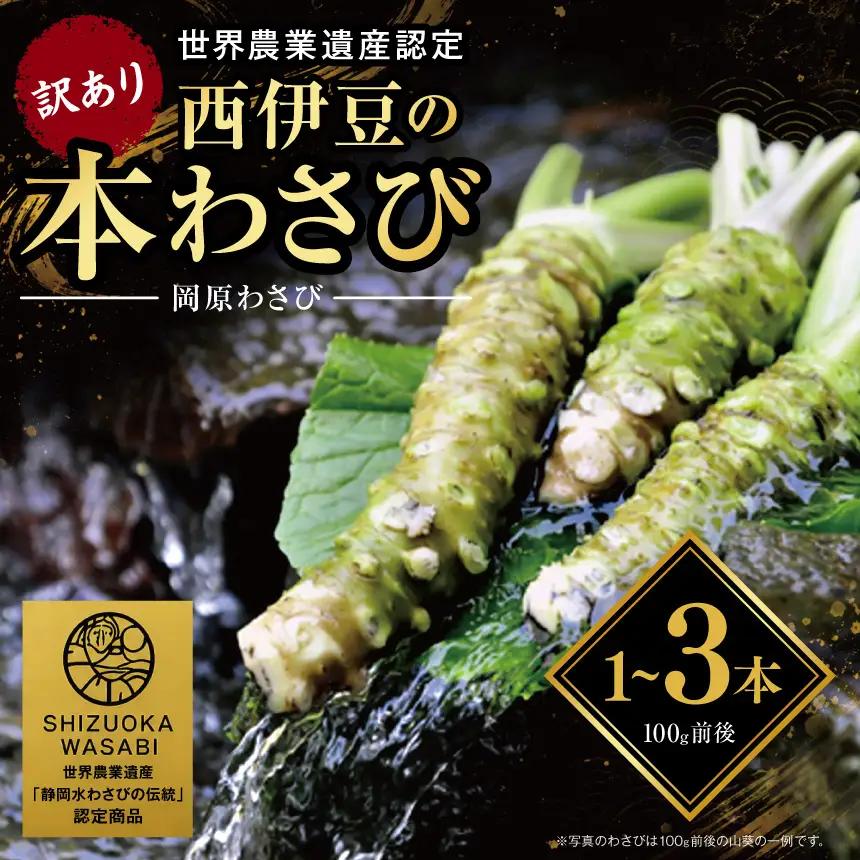 【世界農業遺産認定】訳あり 西伊豆町の本わさび（岡原わさび）1～3本【12月・1月除く】