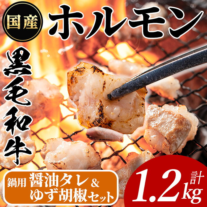 【ふるさと納税】国産黒毛和牛ホルモン(計1.2kg・200g×6P or 400g×3P)&醤油タレ(濃縮タイプ：30g×1P) &ゆず胡椒：1個 牛肉 BBQ 鍋 夕食 キャンプ 小分け もつ鍋 ホルモン【ナンチク】