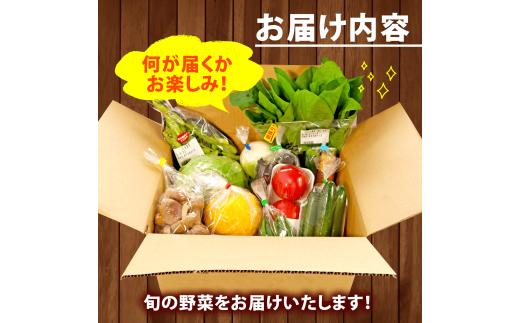 【厳選】 野菜セット 3回 詰め合わせ 一人暮らし 新鮮 こだわり エコ農産物  朝採れ 季節野菜 詰め合わせ 健康 ヘルシー 食卓 サラダ フレッシュ 煮物 スープ 安心 安全 国産 野菜ボックス エコ栽培 直送 産地直送 ファーム 野菜便 お取り寄せ ギフト 贈答 旬の味 大阪 松原