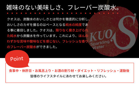 【全3回定期便】強炭酸水クオス アップルフレーバー 500ml×24本  / 炭酸 炭酸 炭酸 炭酸 炭酸 炭酸 / 日田市 / 株式会社OTOGINO[AREF170]