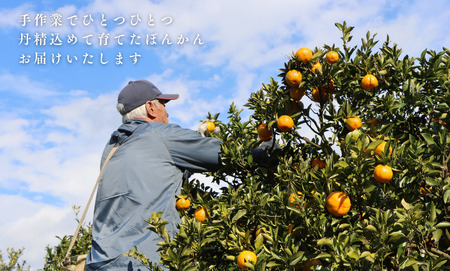 TM003-1 徳村のぽんかん 秀品＜5kg＞国産 東洋町産 訳アリ 甘い コク ジューシー 果肉 高知県 東洋町 四国 お取り寄せ フルーツ 果物 家庭用 自宅用 送料無料