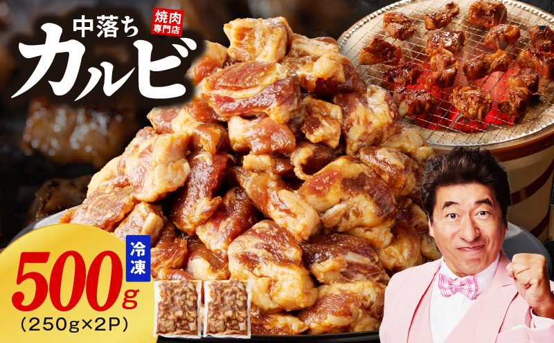 特製タレ漬け 中落ちカルビ 500g 小分け 250g×2P 牛肉 焼き肉専門店 G1599