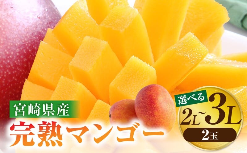
            《2026年発送先行予約》【選べるサイズ】【数量・期間限定】宮崎特産品 宮崎県産完熟マンゴー 宮崎 宮崎マンゴー 完熟 完熟マンゴー マンゴー まんごー 果物 フルーツ くだもの デザート スイーツ 果肉 果汁 2個 甘い 芳醇 南国フルーツ 南国 特産品 名物 ご当地グルメ グルメ ギフト 贈り物 プレゼント 2L 3L 2玉 _ M275-001-SKU
          