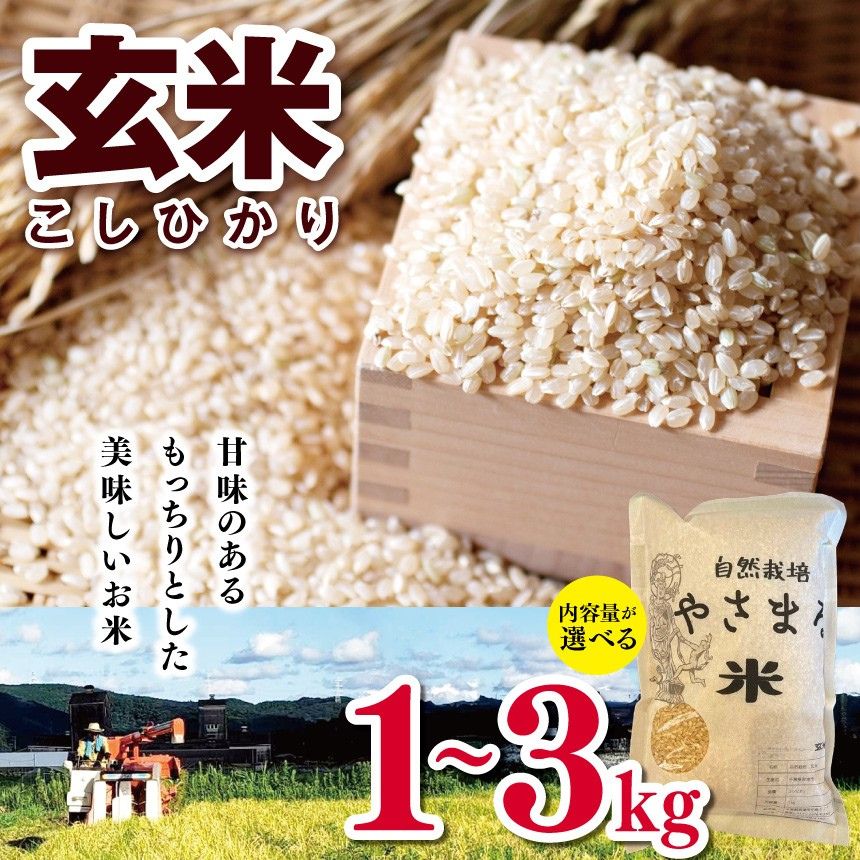 【ふるさと納税】 コシヒカリ 玄米 1kg or 2kg or 3kg | やさまる 少量 小分け 米 こめ お米 おこめ げんまい やさまる こしひかり 千葉県 君津市 きみつ