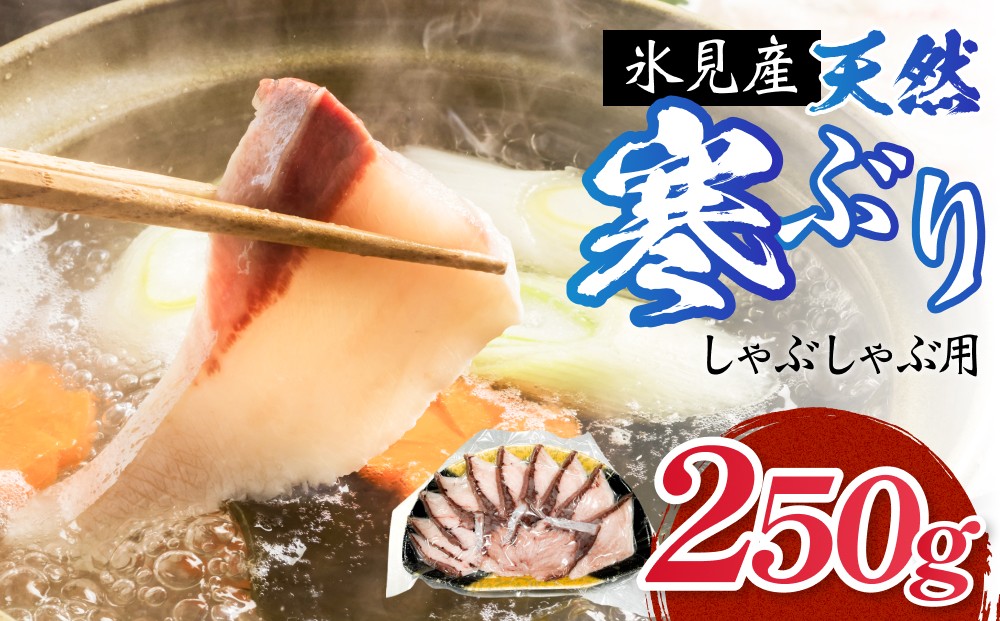 
                  氷見産 天然寒ぶり しゃぶしゃぶ用 250g 富山県 氷見市 ブリ ぶりしゃぶ 鍋
                